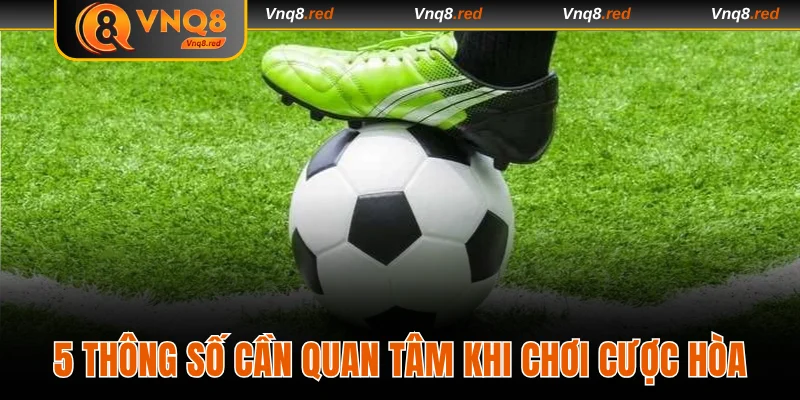 Cách Đọc Kèo Chấp 1 Trái Chính Xác Dành Cho Người Mới 3 5 thông số cần quan tâm khi chơi cược hòa