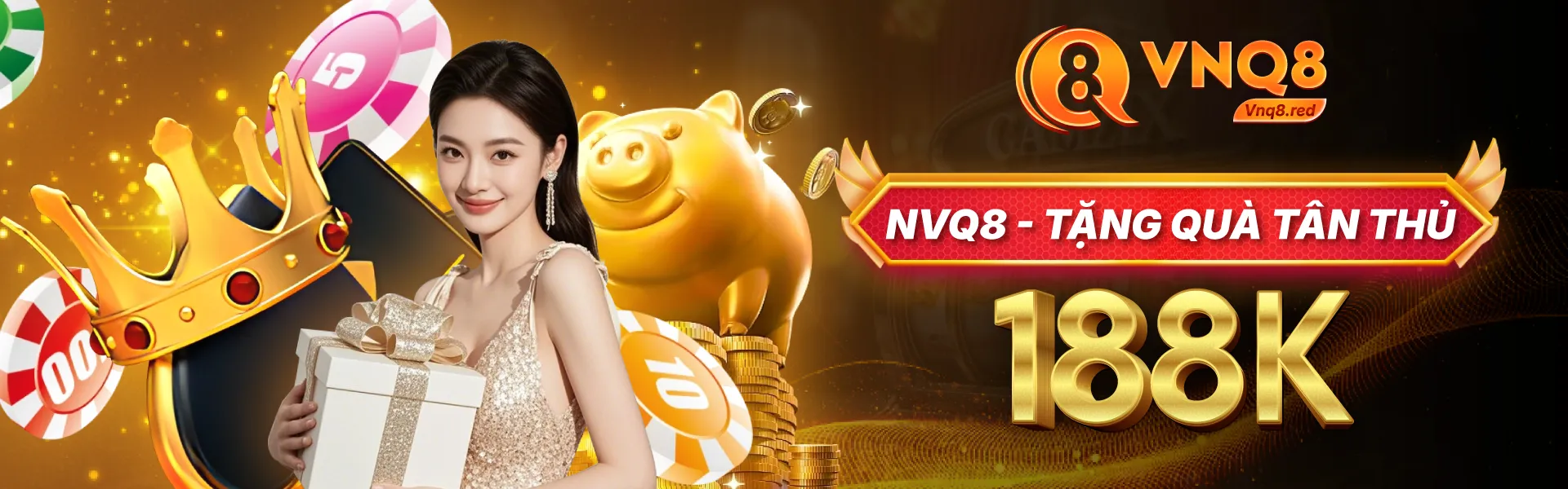 Banner VNQ8
