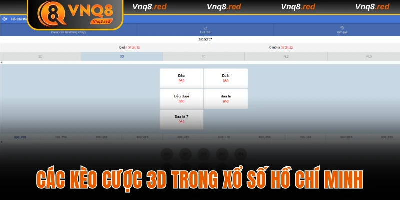 Làm Giàu Qua Xổ Số Hồ Chí Minh Vip Tại Nhà Cái Uy Tín VNQ8 3 Các kèo cược 3D trong xổ số Hồ Chí Minh Vip