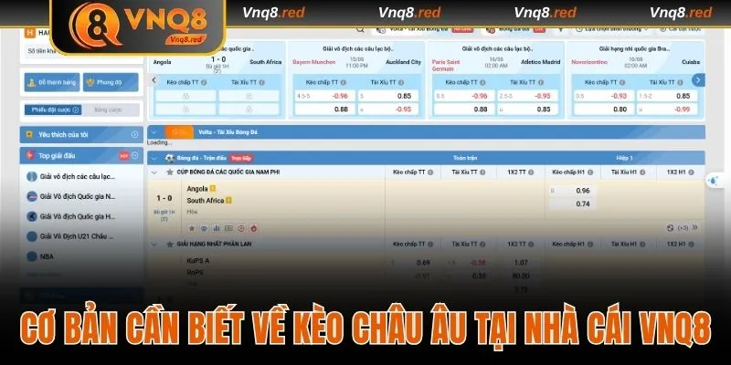 Kèo Châu Âu - Dự Đoán Dễ Dàng Nhận Thưởng VNQ8 Bạt Ngàn 2 Cơ bản cần biết về kèo châu Âu tại nhà cái VNQ8