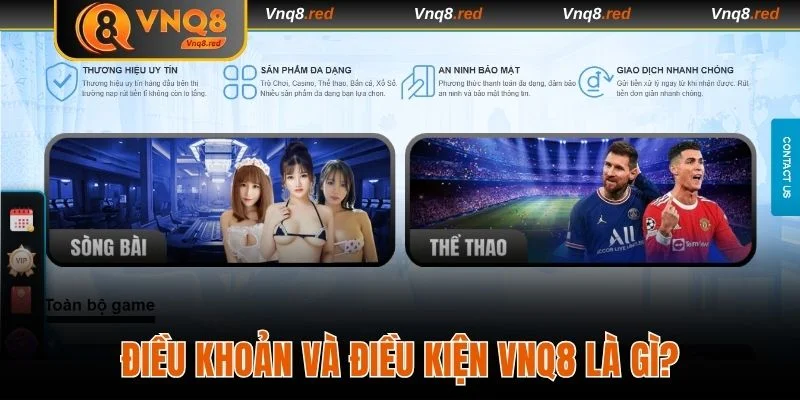 Giới thiệu điều khoản và điều kiện VNQ8