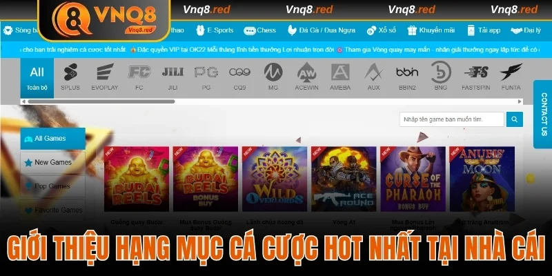 Giới thiệu hạng mục cá cược hot nhất tại nhà cái