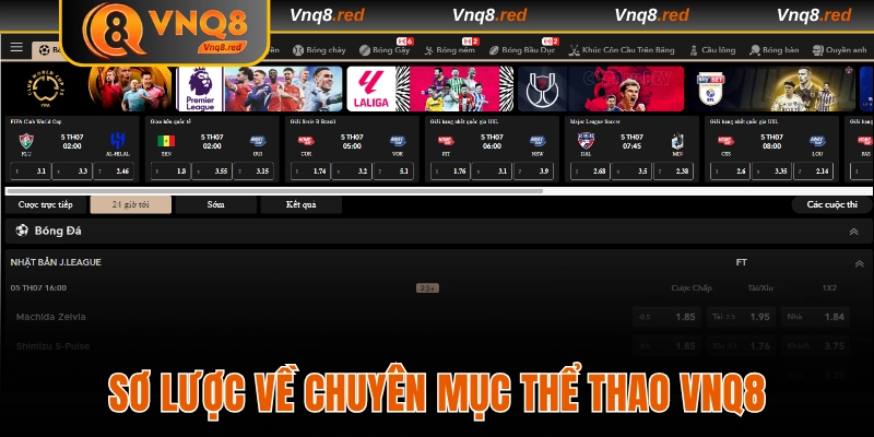 Sơ lược về chuyên mục thể thao VNQ8 cuốn hút
